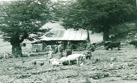 Argele – august 1984
