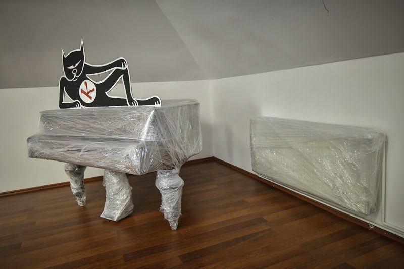 Escape_pisica