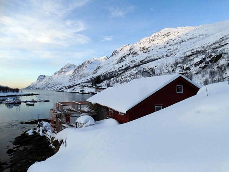 fjorduri-norvegiene005-768x576