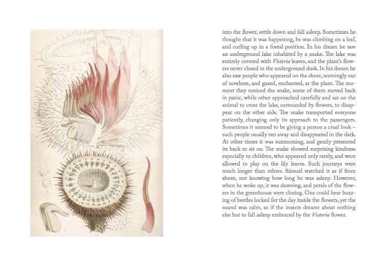 lexicon-imaginar-al-clujului