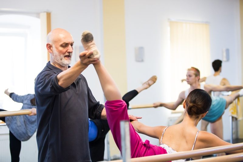 Mihai Babușka_studii