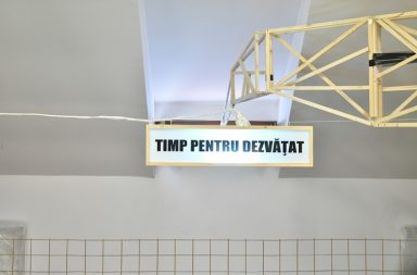 lucrare_Lavinia Cretu