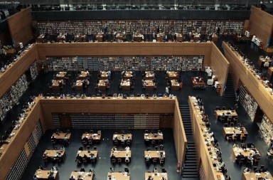 Google si creierul mondial