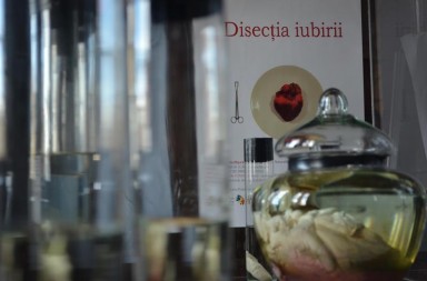 disectie_inima